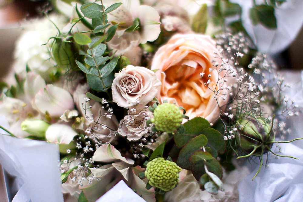 Vicki Turnbull Photography photo 3