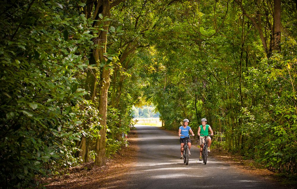 Wheelie Fantastic | Specialising in Unique Great Taste Trail Tours | photo 3