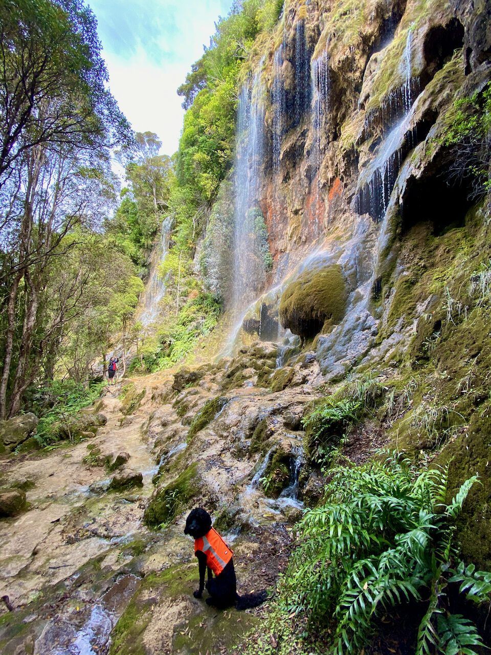Whispering Falls photo 2
