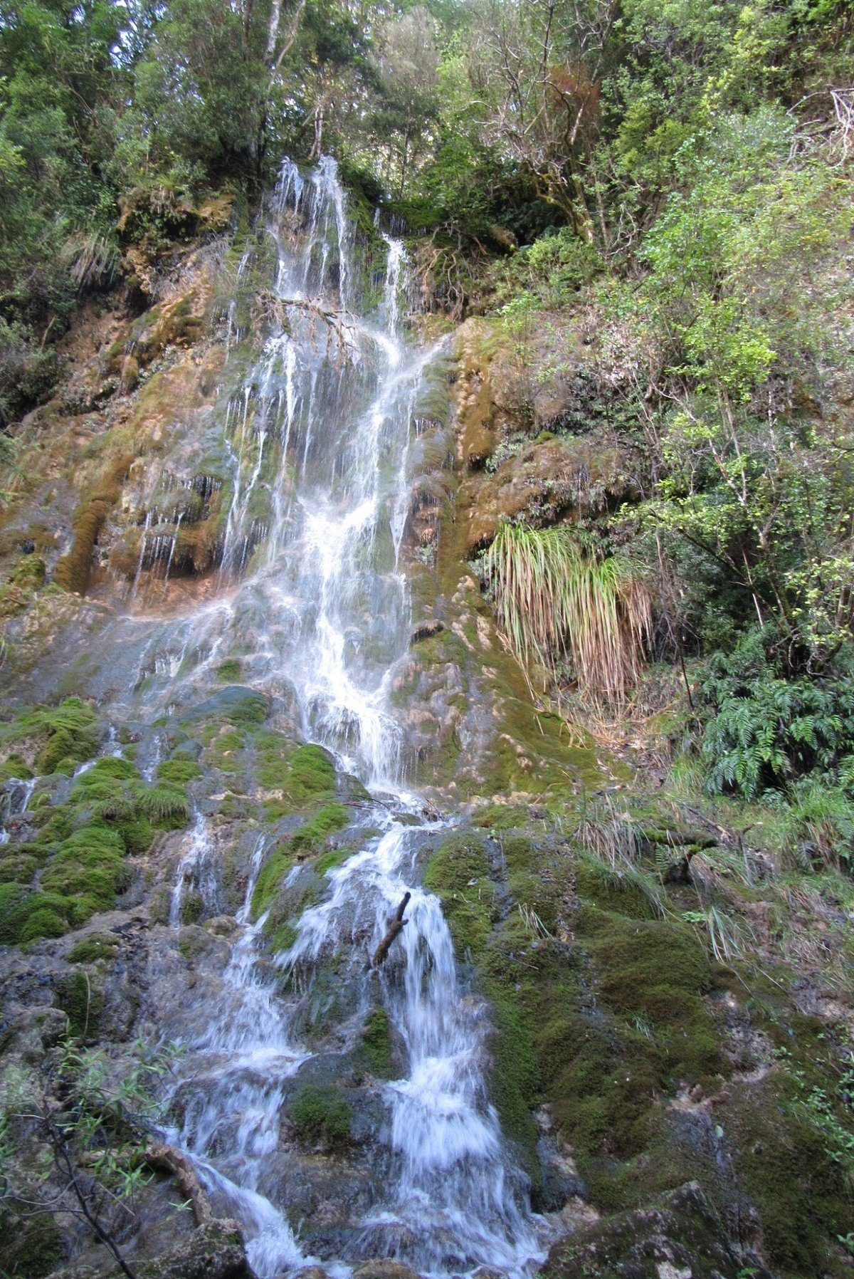 Whispering Falls photo 3