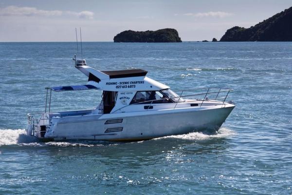 Wildcat Charters