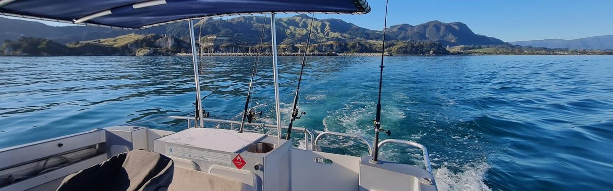 Wildcat Charters photo 2