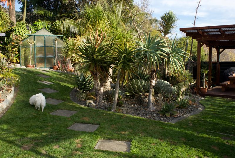 Your Local Gardener photo 3
