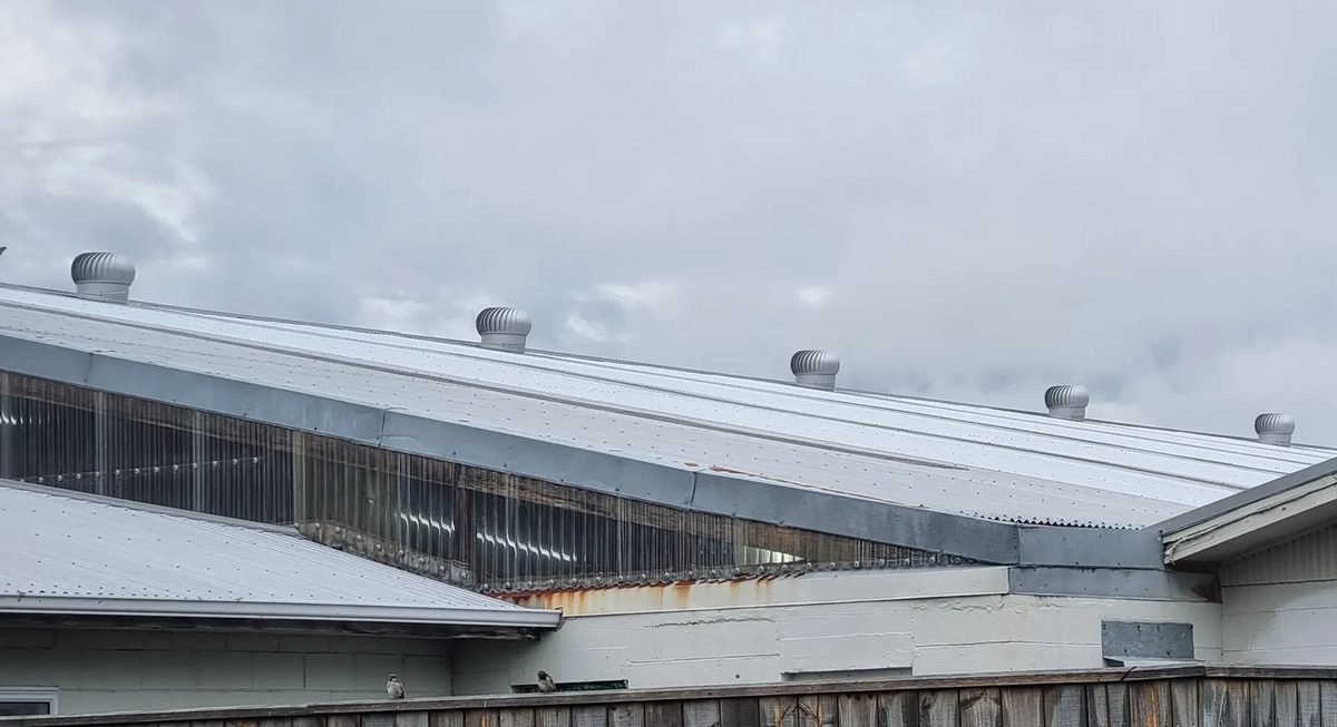 Zealand Roofing LTD photo 3